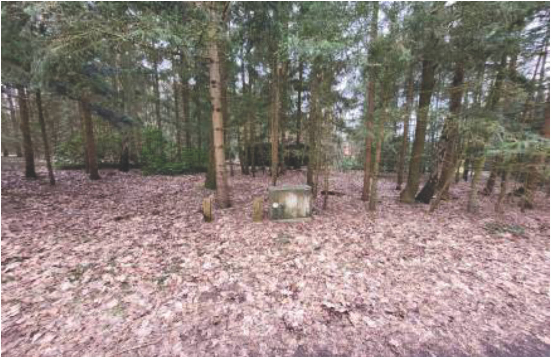 niedersachsen 0003K0015-2023 Hamwiede 116, 29664 Walsrode, Hamwiede 20