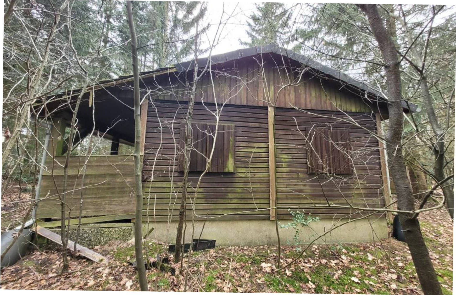 Sonstiges in Hamwiede 116, 29664 Walsrode, Hamwiede - Bild 3