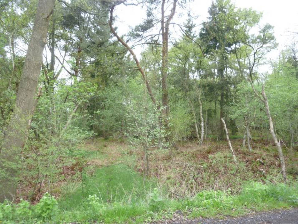 land- und forstwirtschaftlich genutztes Grundstück in Hinter dem Lahfelde, 27367 Bötersen - Bild 2