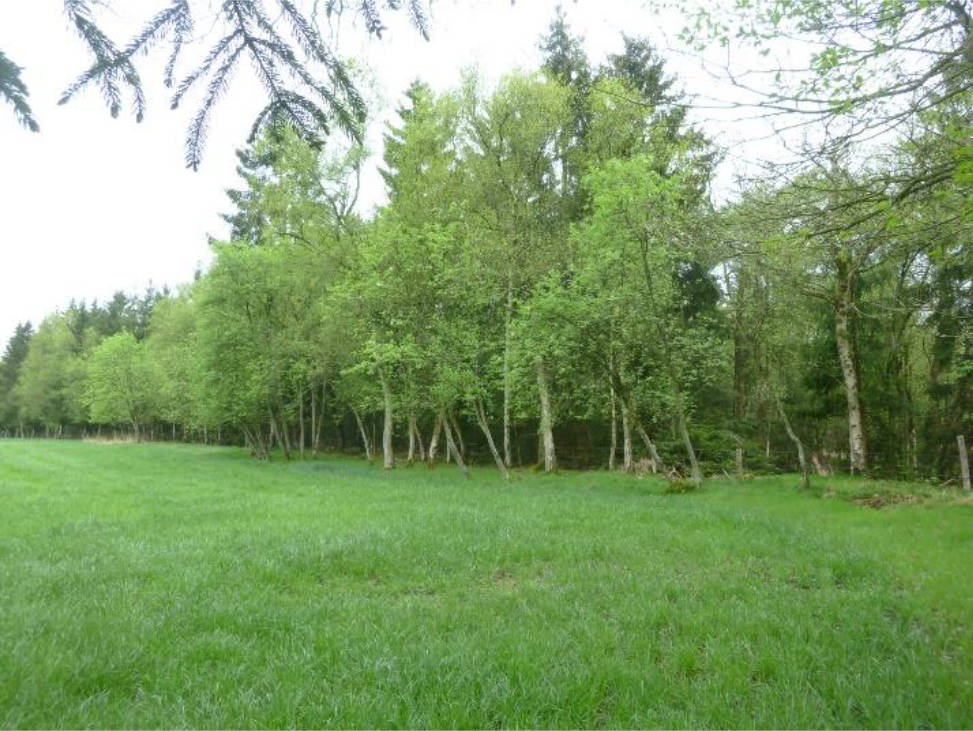 land- und forstwirtschaftlich genutztes Grundstück in Hinter dem Lahfelde, 27367 Bötersen