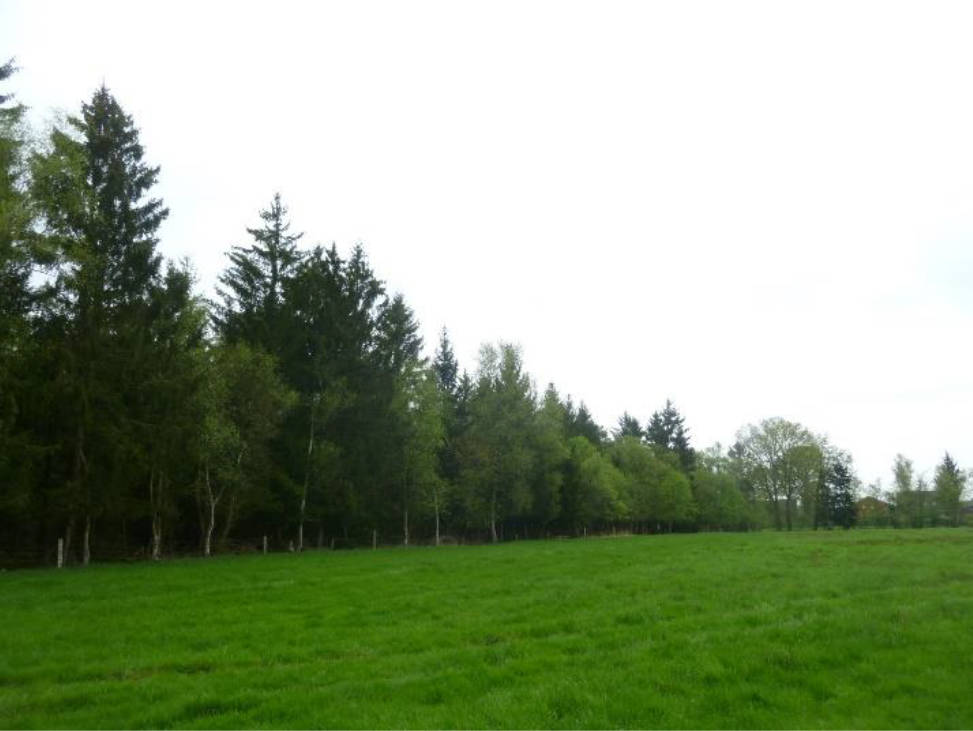 land- und forstwirtschaftlich genutztes Grundstück in Hinter dem Lahfelde, 27367 Bötersen - Bild 3