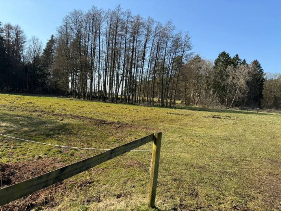 niedersachsen 0003K0019/2024 Wehnsen 6, 27374 Visselhövede, Wehnsen 6
