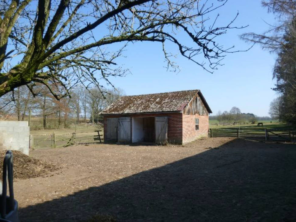 land- und forstwirtschaftlich genutztes Grundstück in Wehnsen 6, 27374 Visselhövede, Wehnsen - Bild 4