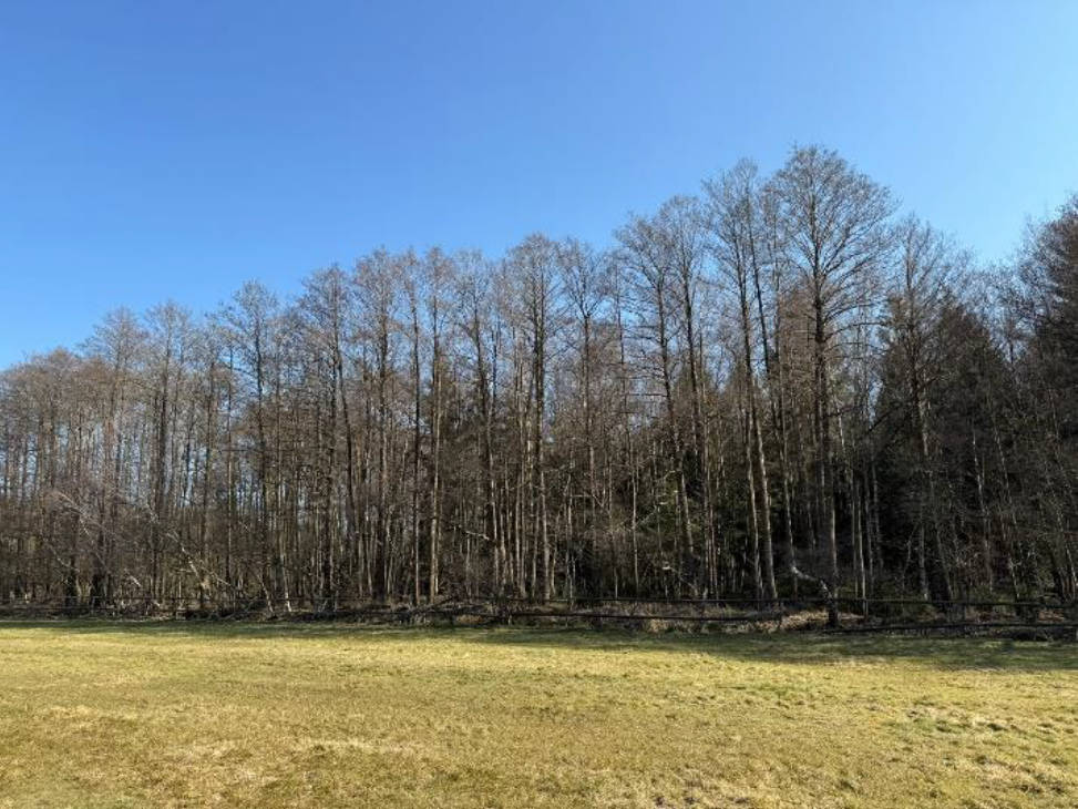 niedersachsen 0003K0019/2024 Wehnsen 6, 27374 Visselhövede, Wehnsen 10