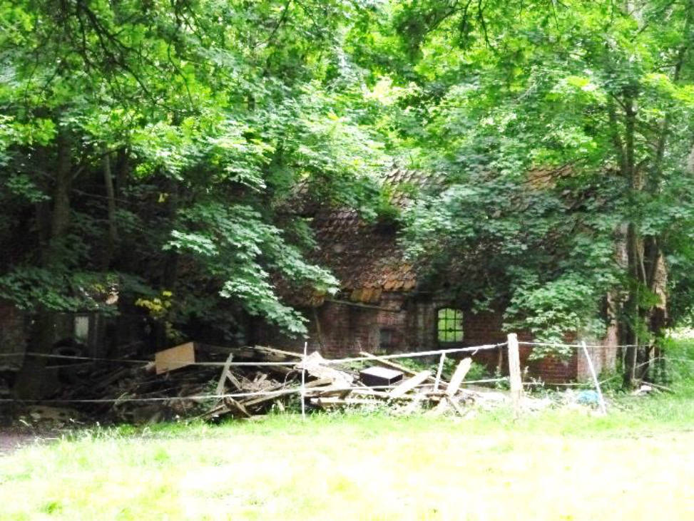 Sonstiges in Buchholz 1, 27374 Visselhövede - Bild 4