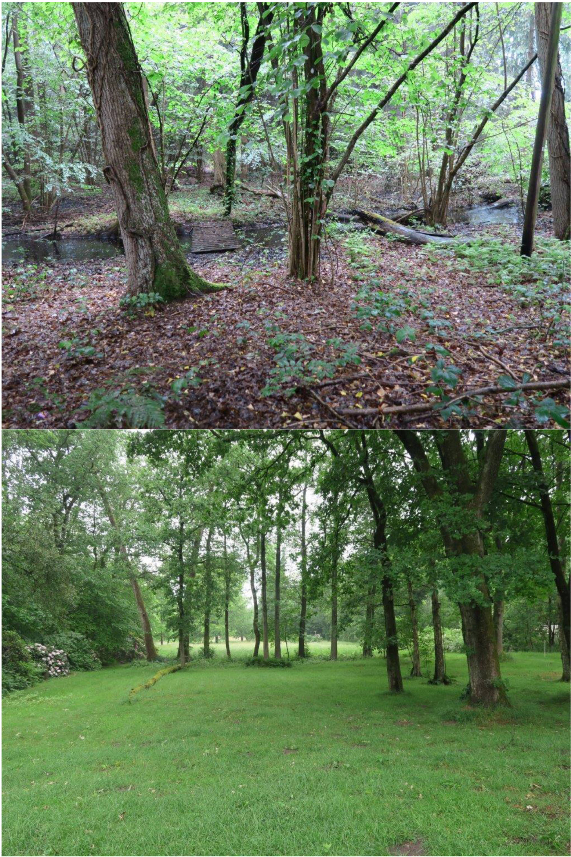 niedersachsen 0005 K 0002/2023 Dreyershofer Weg 22, 29640 Schneverdingen 11