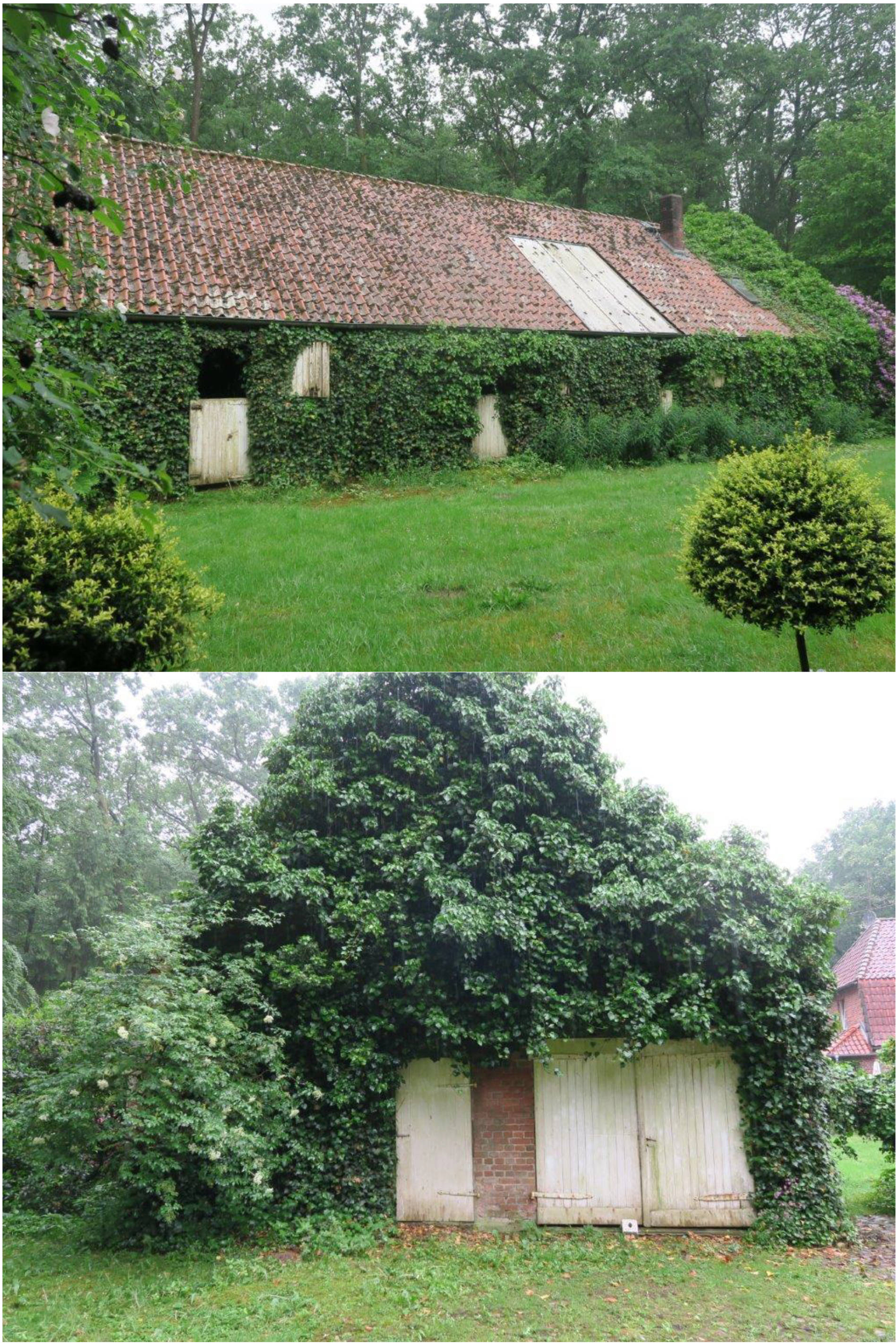 niedersachsen 0005 K 0002/2023 Dreyershofer Weg 22, 29640 Schneverdingen 10