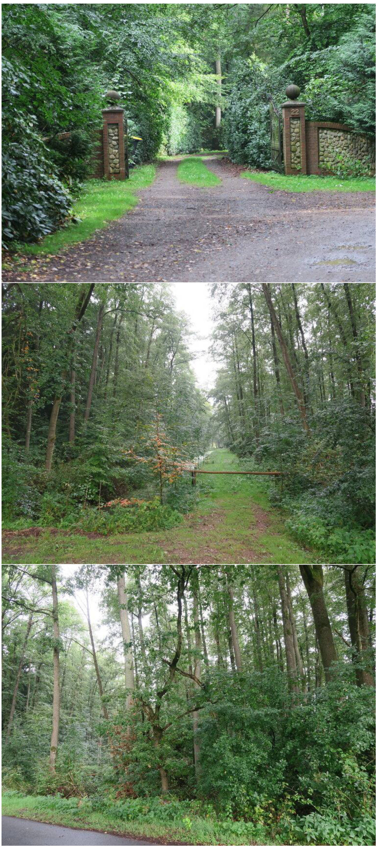 niedersachsen 0005 K 0002/2023 Dreyershofer Weg 22, 29640 Schneverdingen 5