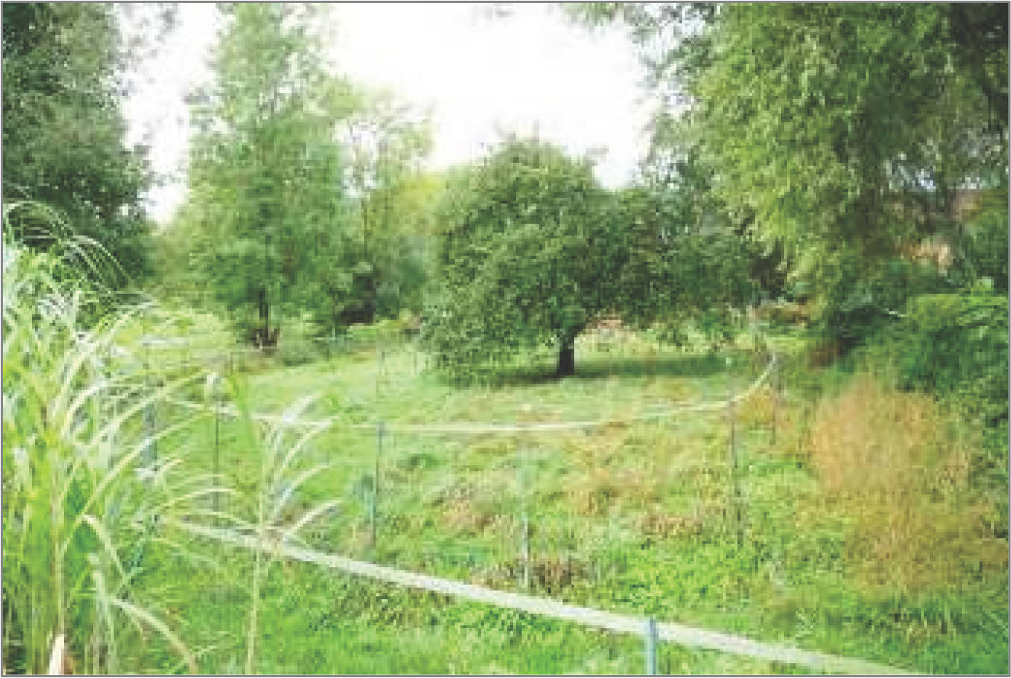 niedersachsen 0005K0003-2024 Am Mühlengraben 13, 37431 Bad Lauterberg im Harz, Barbis 6