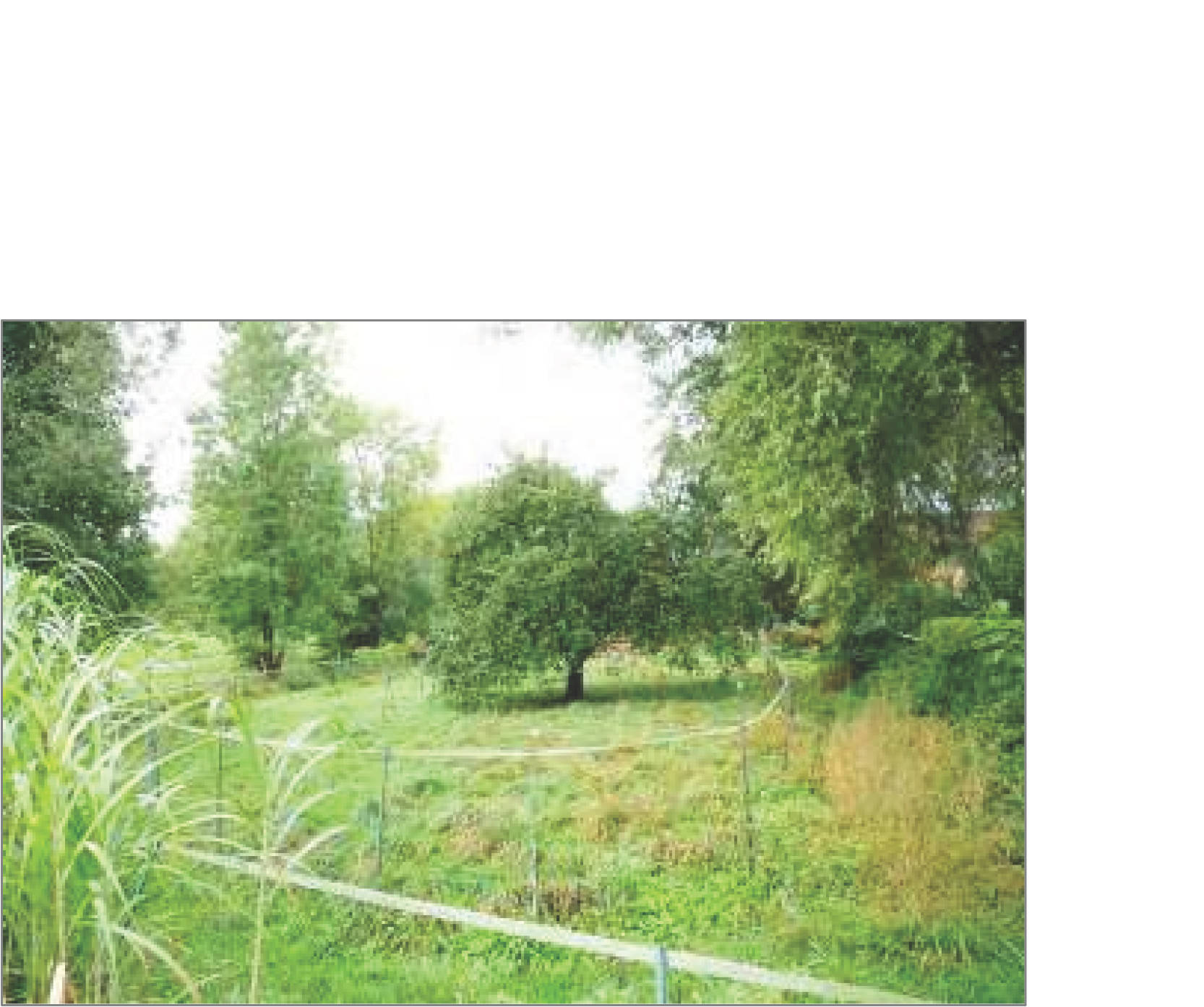 Einfamilienhaus in Am Mühlengraben 13, 37431 Bad Lauterberg, Barbis - Bild 4