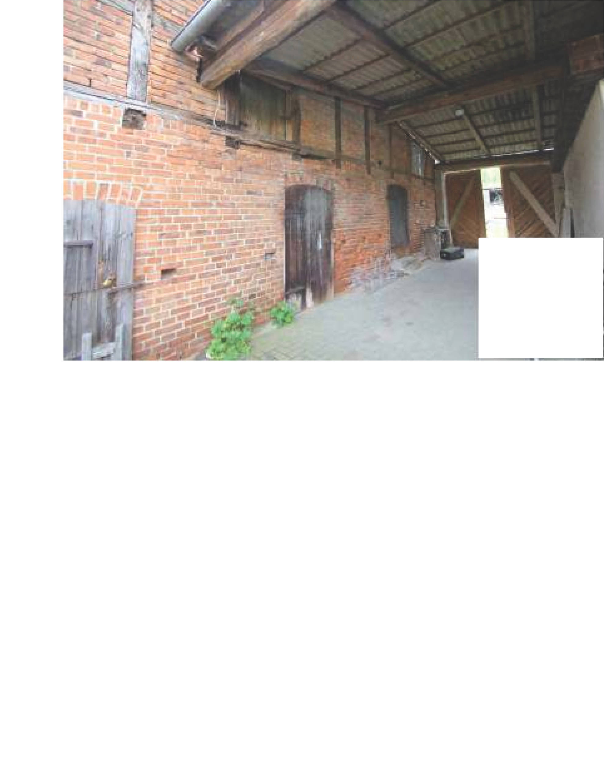 niedersachsen 0005K0004/2022 Dammstraße 10, 29367 Steinhorst 9