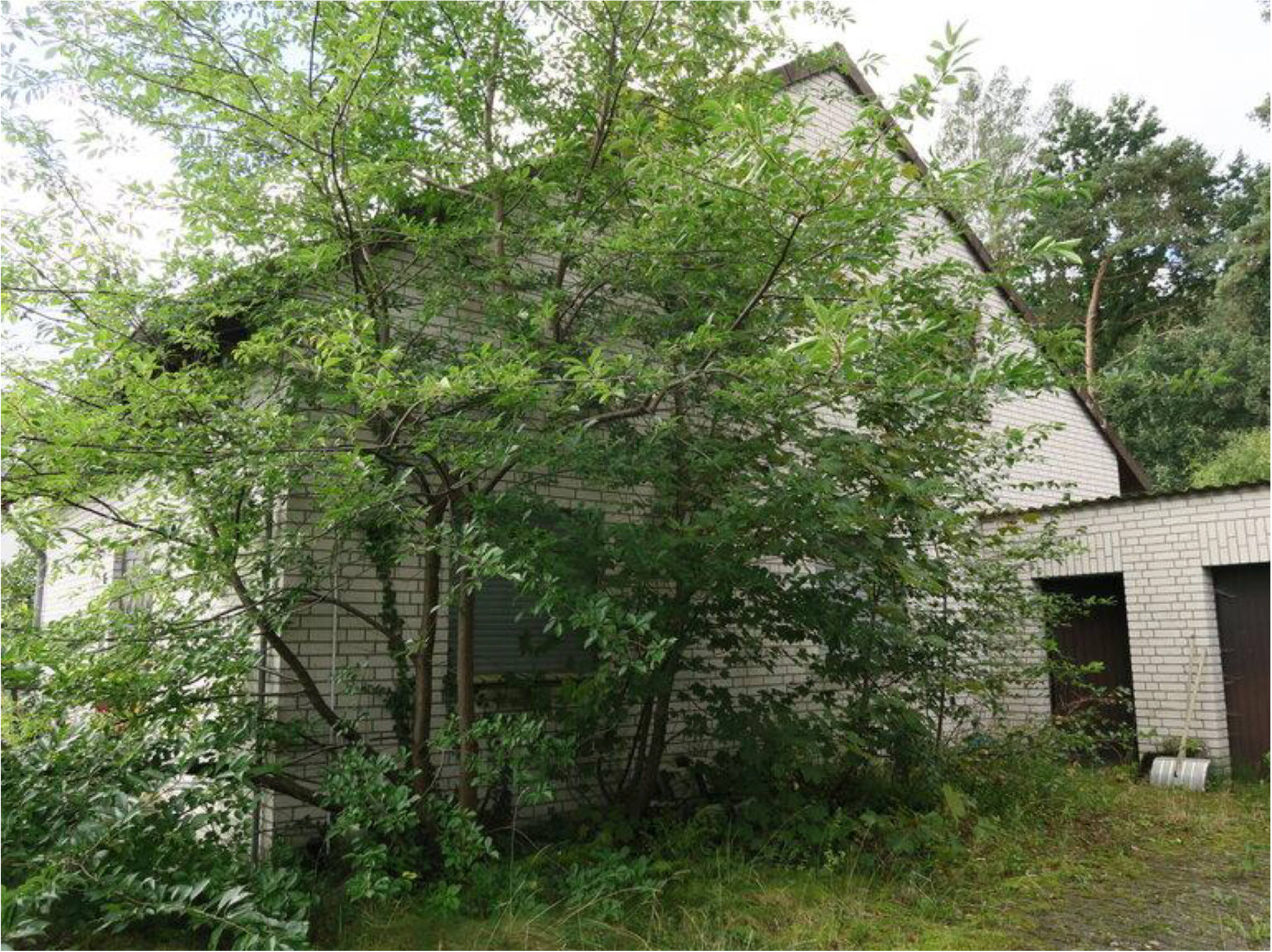 Einfamilienhaus, Garage in Soldiner Straße 15, 29633 Munster, Trauen - Bild 2
