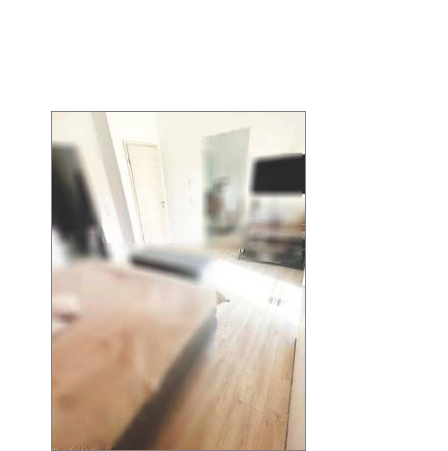 niedersachsen 0005 K 0007/2024 Scharzfelder Straße 116, 37431 Bad Lauterberg 6