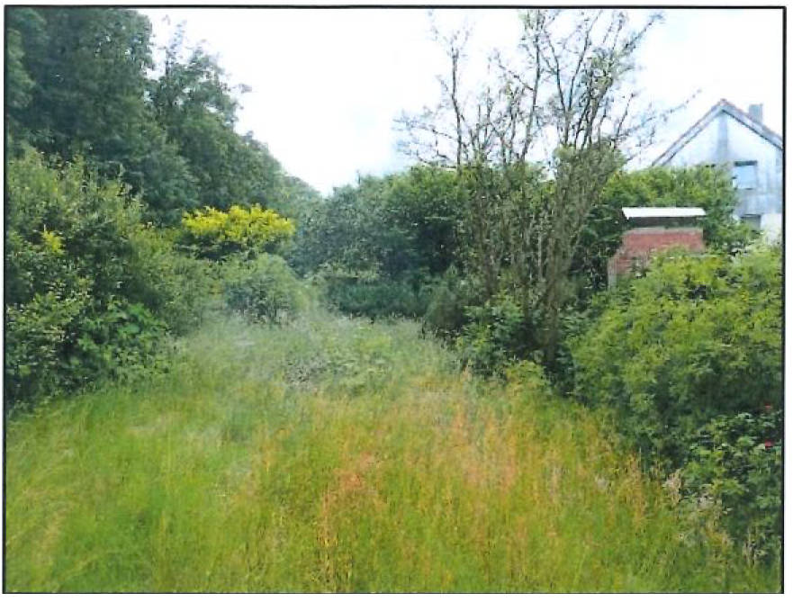 niedersachsen 0005K0015/2023 Am Walde 4, 38685 Langelsheim, Astfeld 6