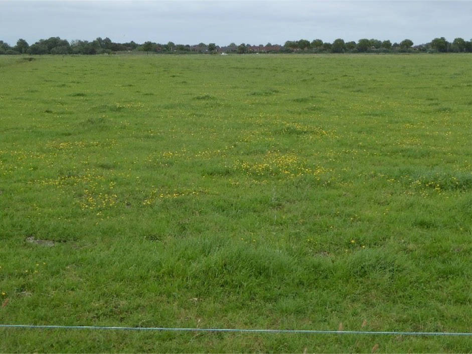 niedersachsen 0006K0001/2024 ohne Anschrift, 00000 Brake, Hammelwarden 11