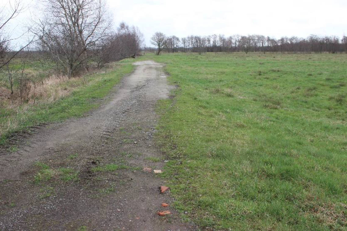 land- und forstwirtschaftlich genutztes Grundstück in Nördlich von Moorhausen, 26931 Elsfleth