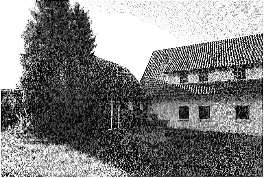 Zweifamilienhaus in Brinkstraße 15, 49201 Dissen am Teutoburger Wald - Bild 3