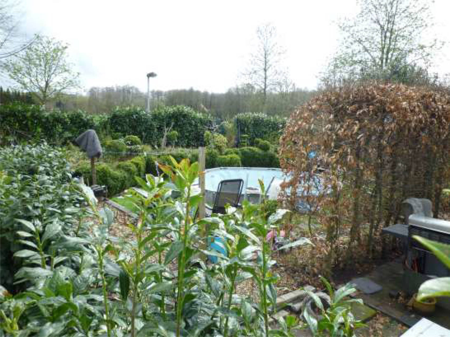 niedersachsen 0007 K 0001/2023 Kastanienstraße 20, 49828 Neuenhaus 9