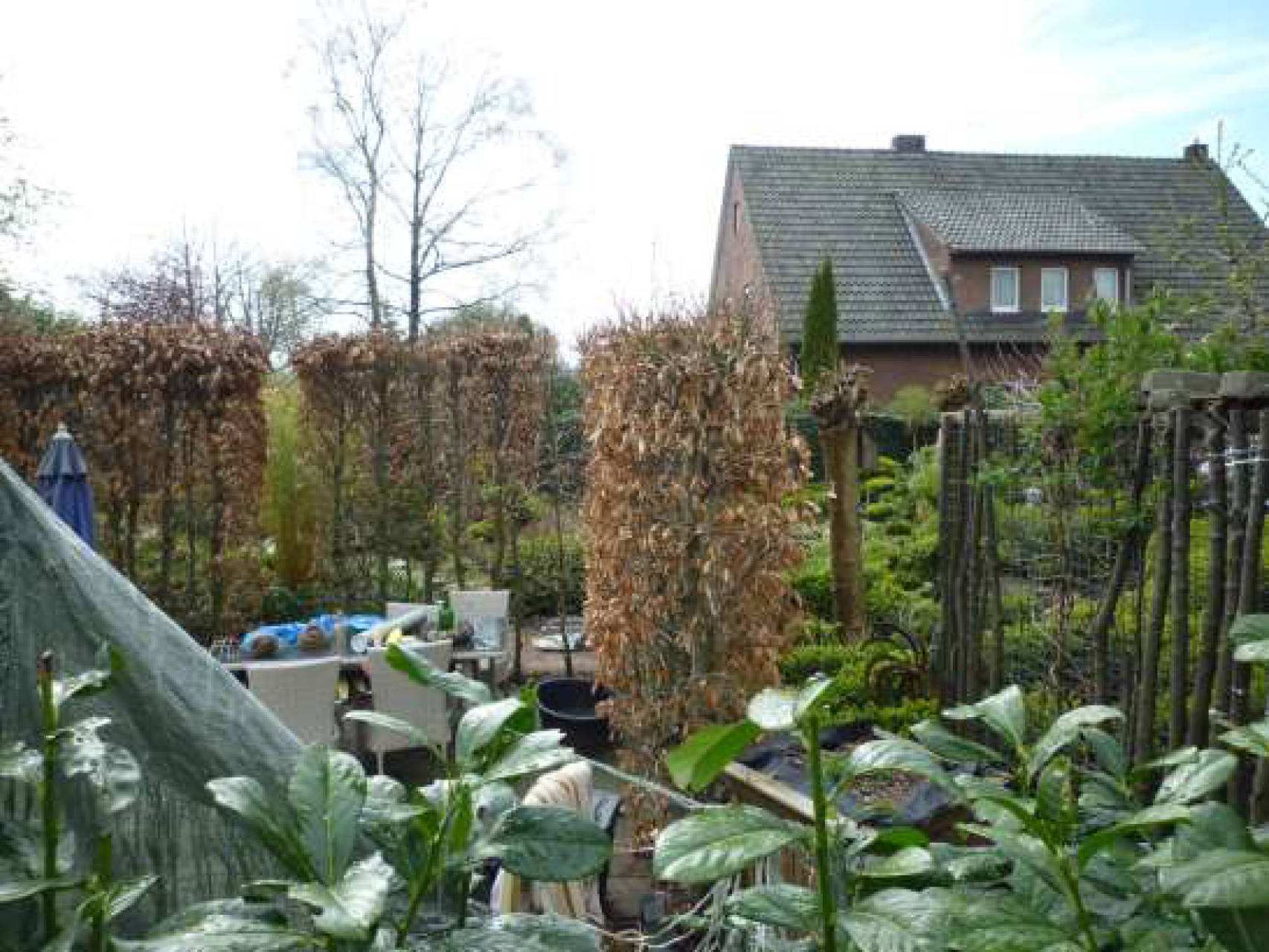 Einfamilienhaus in Kastanienstraße 20, 49828 Neuenhaus - Bild 2