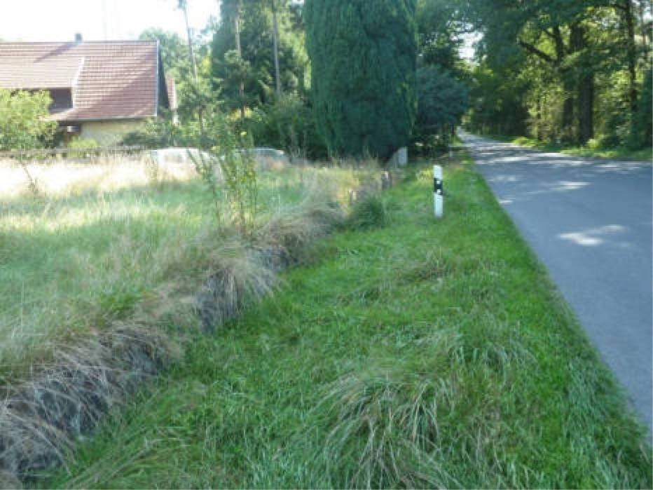 Einfamilienhaus in Lange Straße 4, 27412 Bülstedt - Bild 5