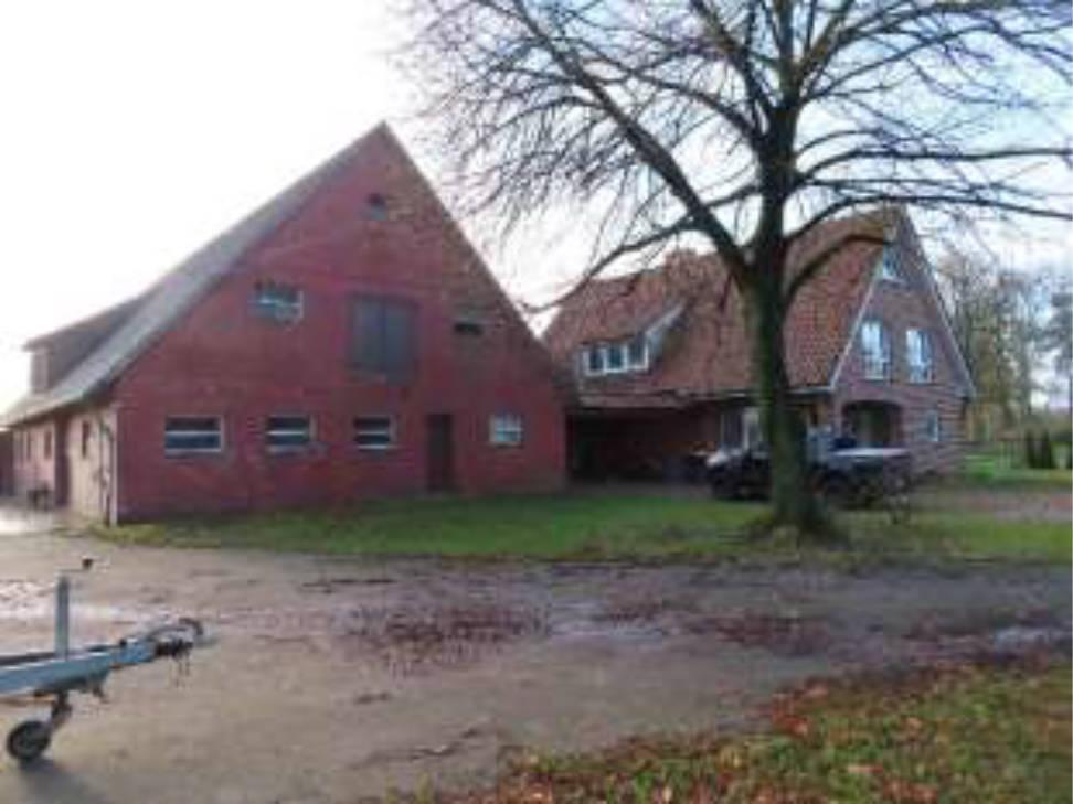 Einfamilienhaus in Osterwalder Straße 2, 49828 Esche - Bild 4