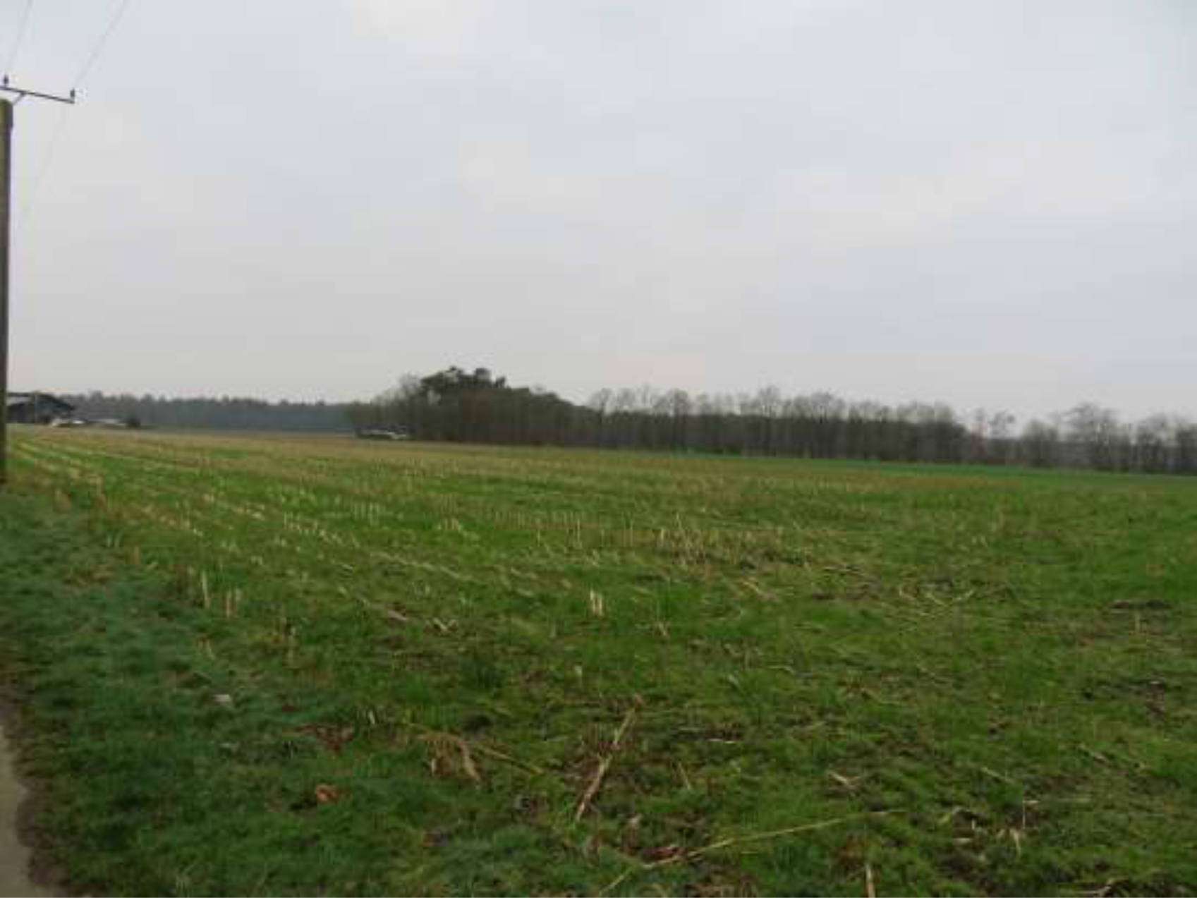 niedersachsen 0007K0026-2023 An Purings Kämpen, Im Felde u.a., 48455 Bad Bentheim, Gildehaus
