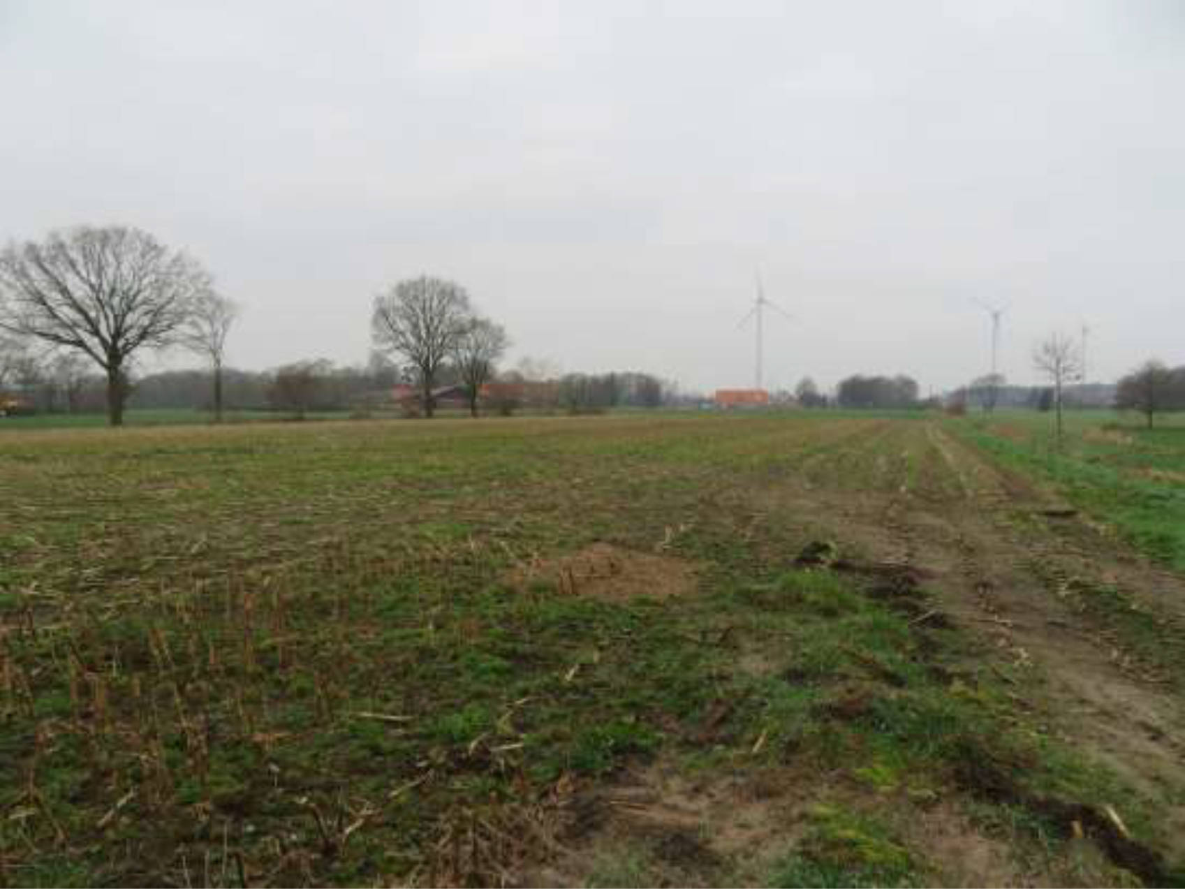 niedersachsen 0007K0026-2023 An Purings Kämpen, Im Felde u.a., 48455 Bad Bentheim, Gildehaus