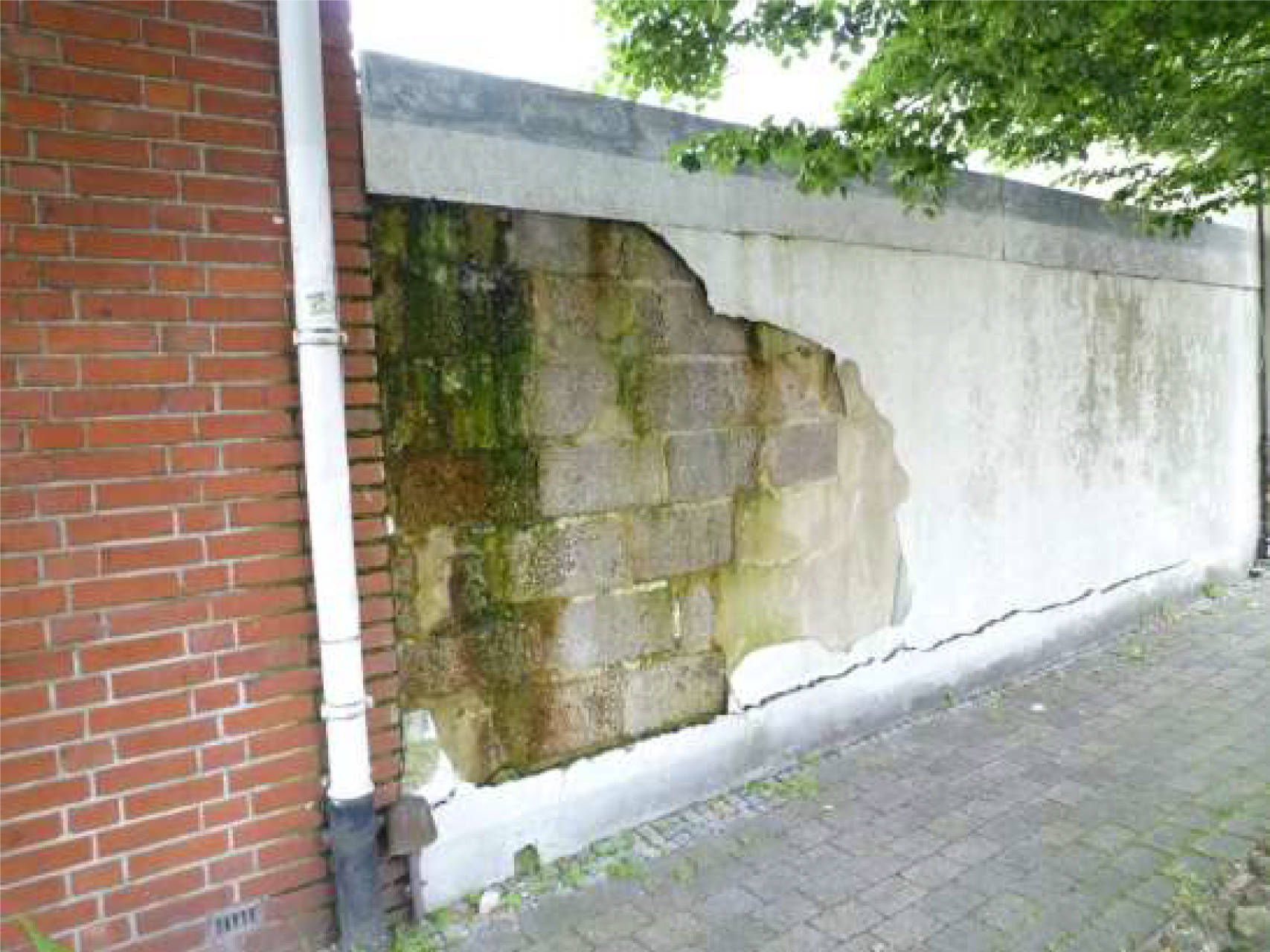 niedersachsen 0007K0034-2023 Dr.-Picardt-Straße 32, 49828 Neuenhaus 10
