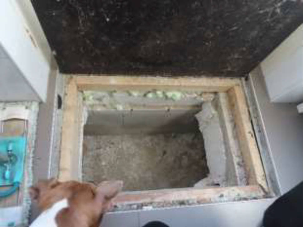 niedersachsen 0007 K 0037/2024 Hinterstraße 10, 49828 Neuenhaus 14