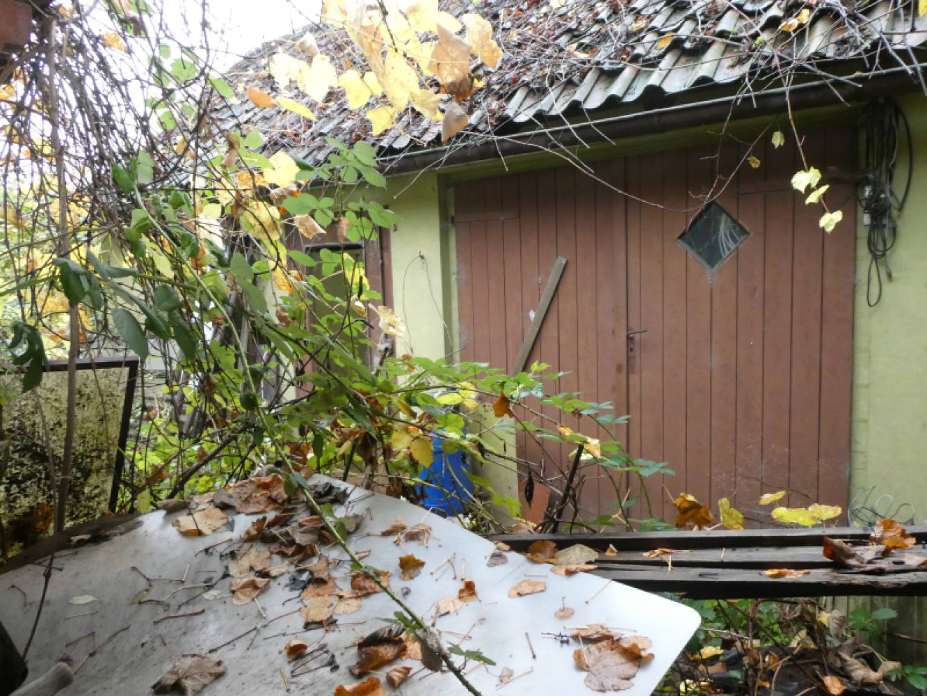 niedersachsen 0008K0006-2024 Sackstr. 1, 31655 Stadthagen 6