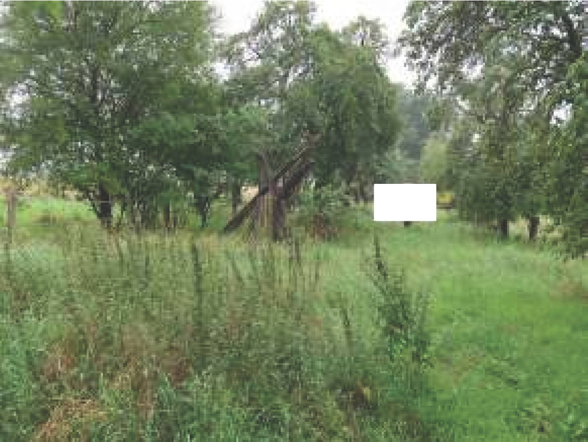 niedersachsen 0008K0007-2023 Ulmenweg 10, Rieseberger Weg  23 A, 38154 Königslutter