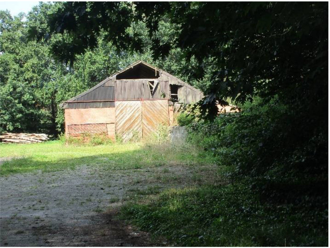 Einfamilienhaus, mit Nebengebäude, Stallgebäude u. a. in Am Seitenkanal 22, 49762 Lathen, Kathen-Frackel - Bild 3