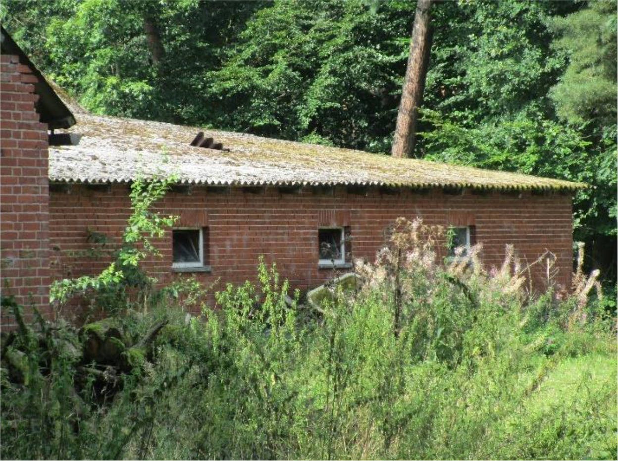 Einfamilienhaus, mit Nebengebäude, Stallgebäude u. a. in Am Seitenkanal 22, 49762 Lathen, Kathen-Frackel - Bild 2