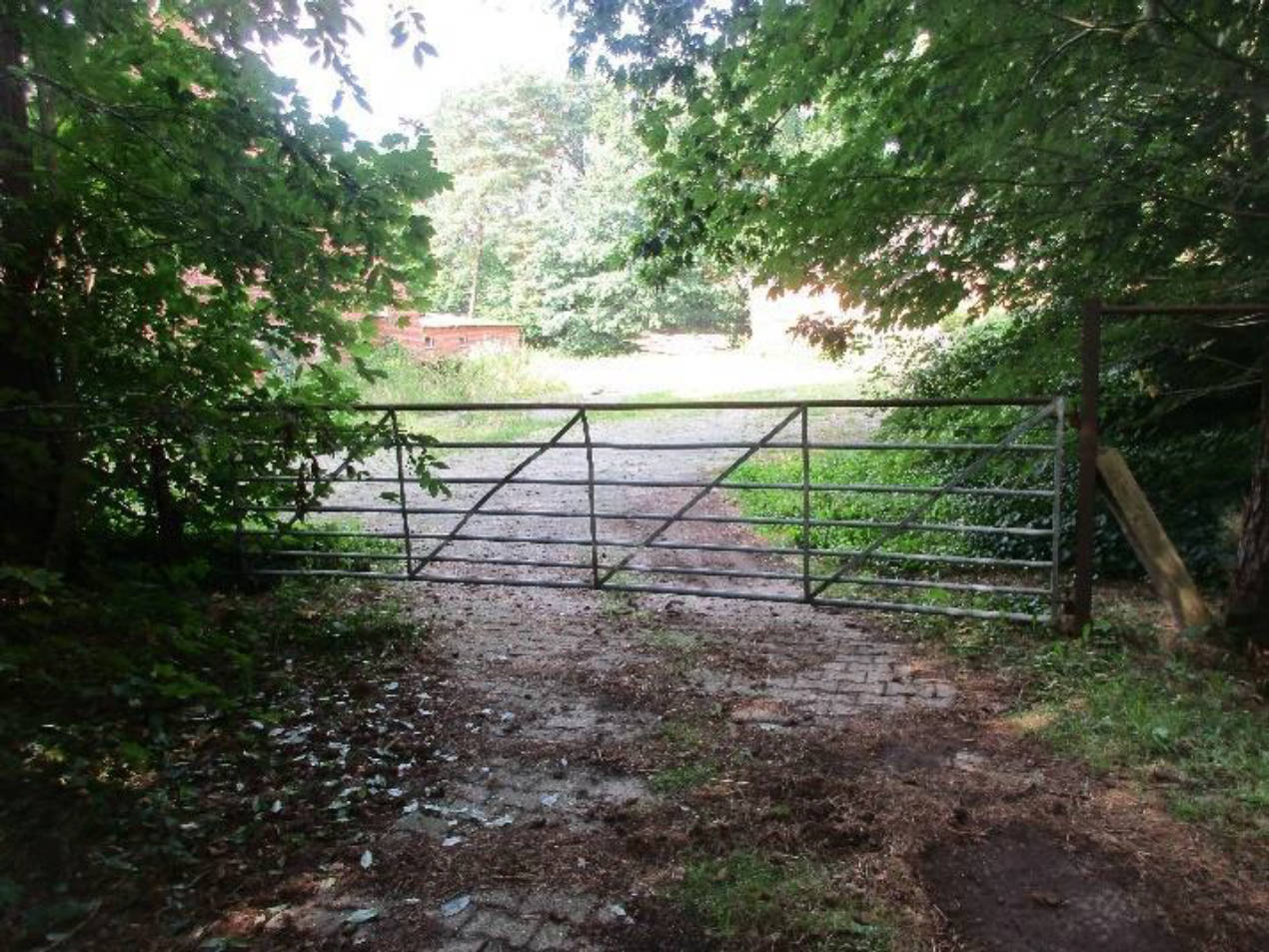 Einfamilienhaus, mit Nebengebäude, Stallgebäude u. a. in Am Seitenkanal 22, 49762 Lathen, Kathen-Frackel - Bild 4