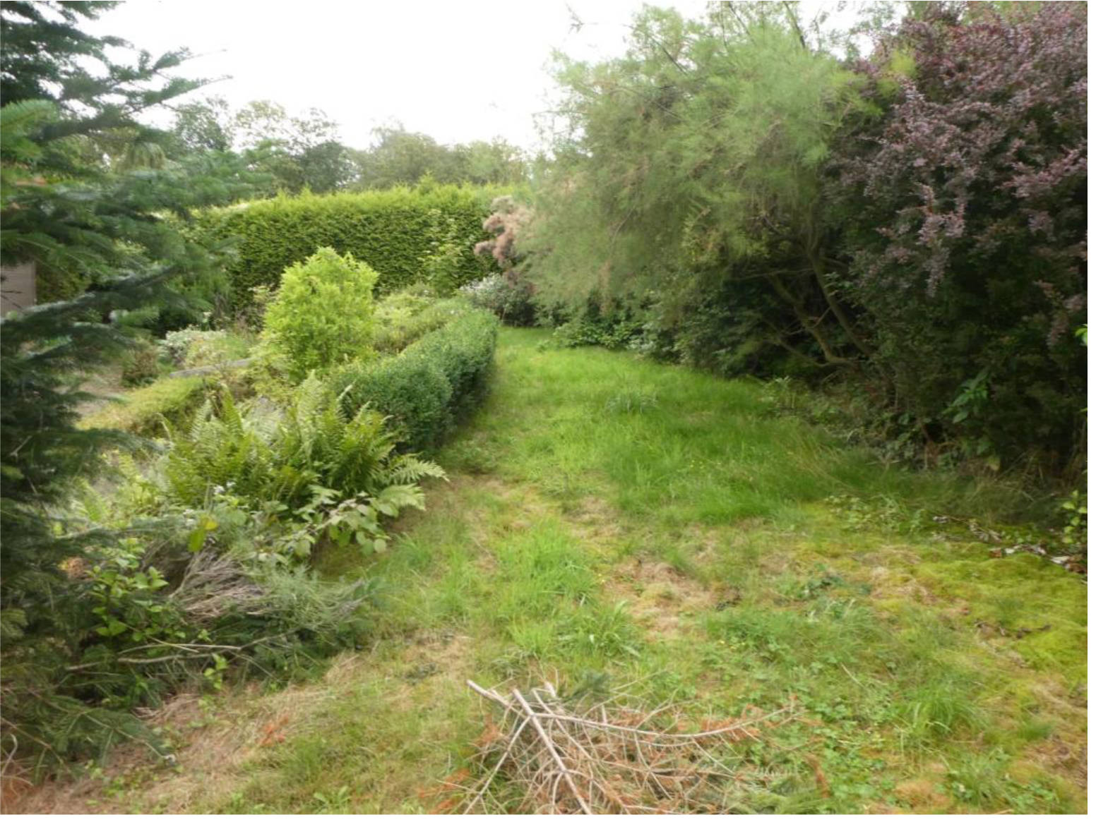 niedersachsen 0008K0008-2022 Hasenzinne 1, 31542 Bad Nenndorf