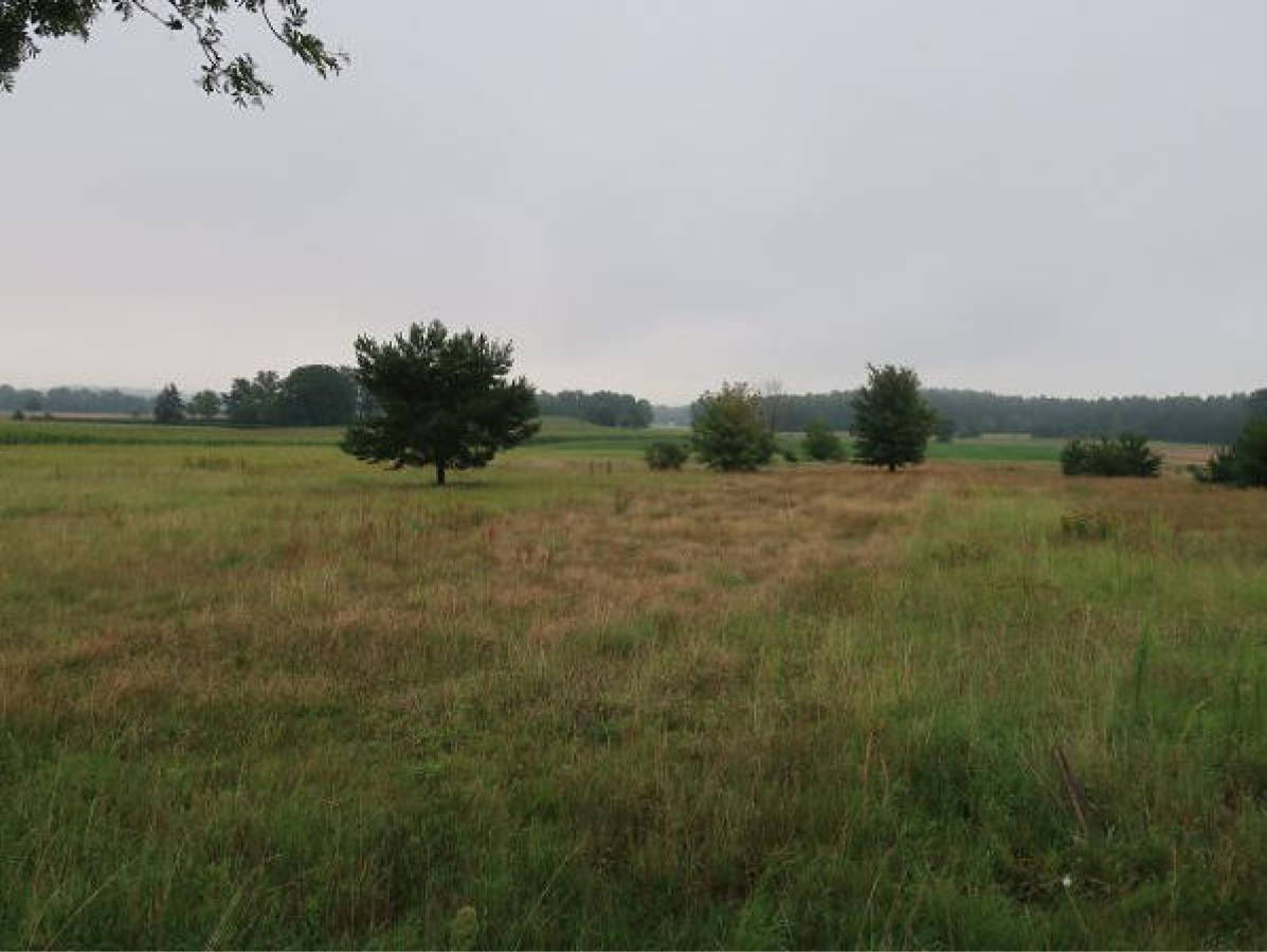 Beim Büchenbusche, 00000 Rieseberg