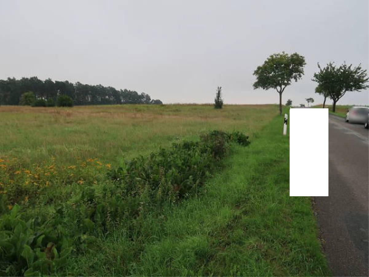 niedersachsen 0008K0009-2023 Beim Büchenbusche, 00000 Rieseberg 7