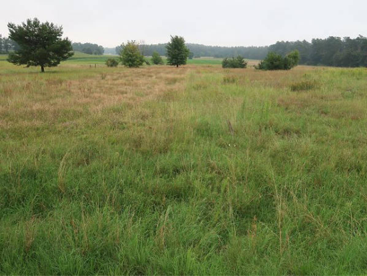 niedersachsen 0008K0009-2023 Beim Büchenbusche, 00000 Rieseberg 6
