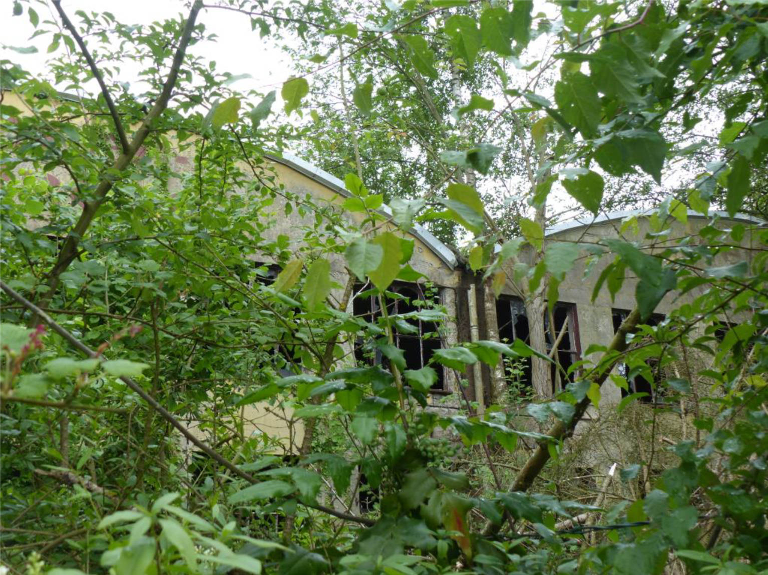 Mühlenbergstraße 32, 37632 Eschershausen