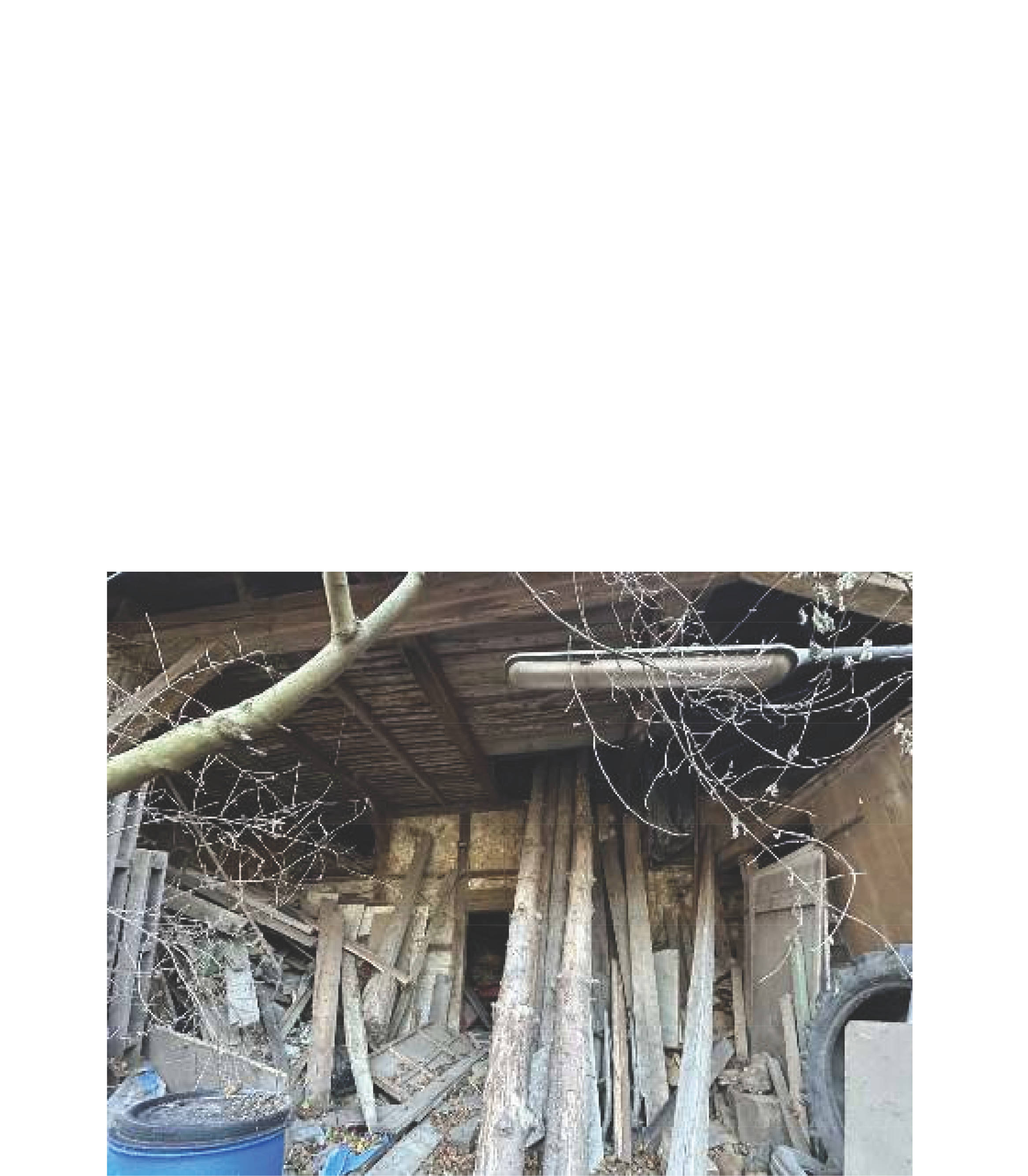 niedersachsen 0008K0018/2024 Ringstraße  20, 38384 Gevensleben, Watenstedt 10