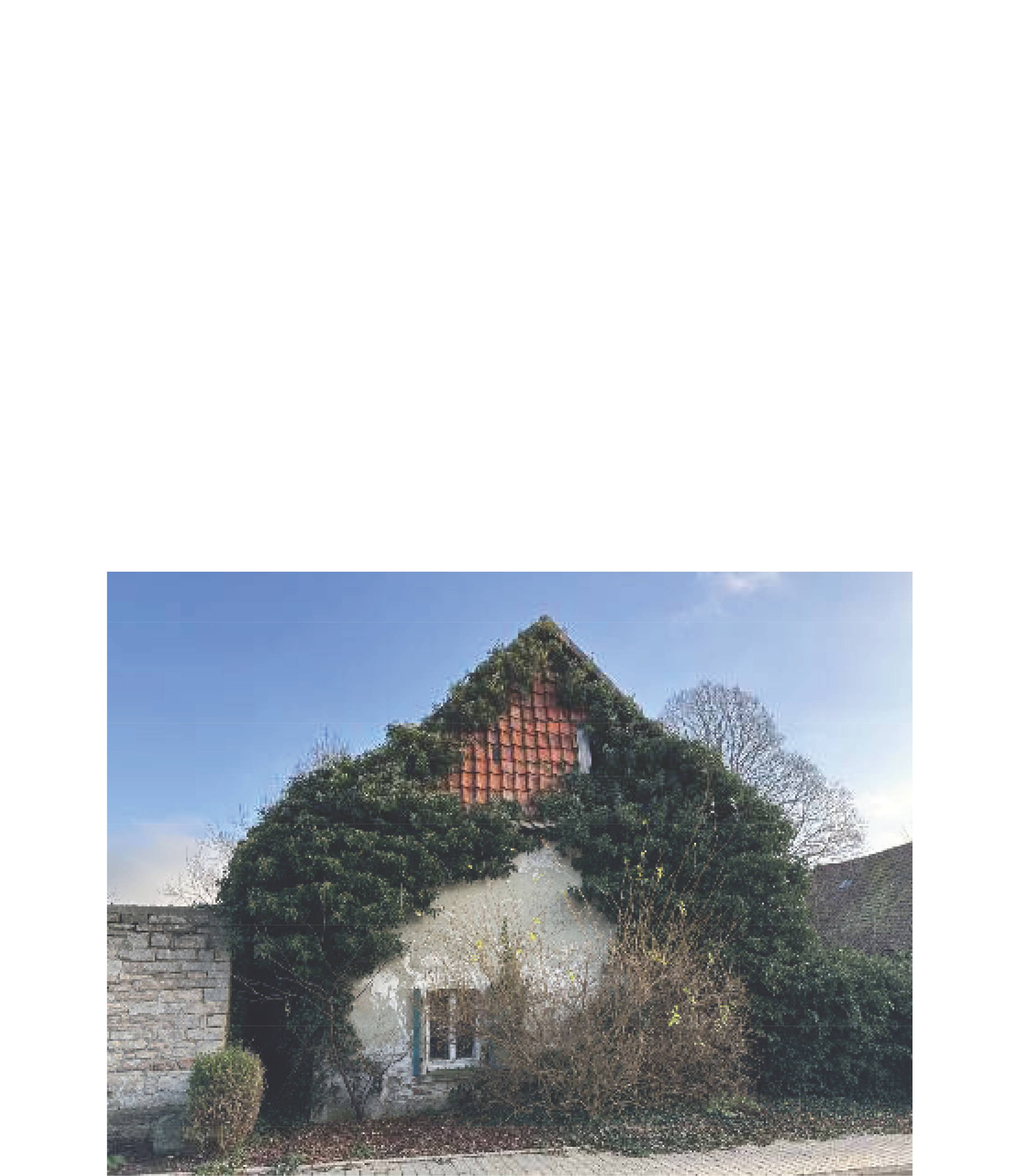 Sonstiges, Ruinöses Wohnhaus in Ringstraße  20, 38384 Gevensleben, Watenstedt - Bild 3