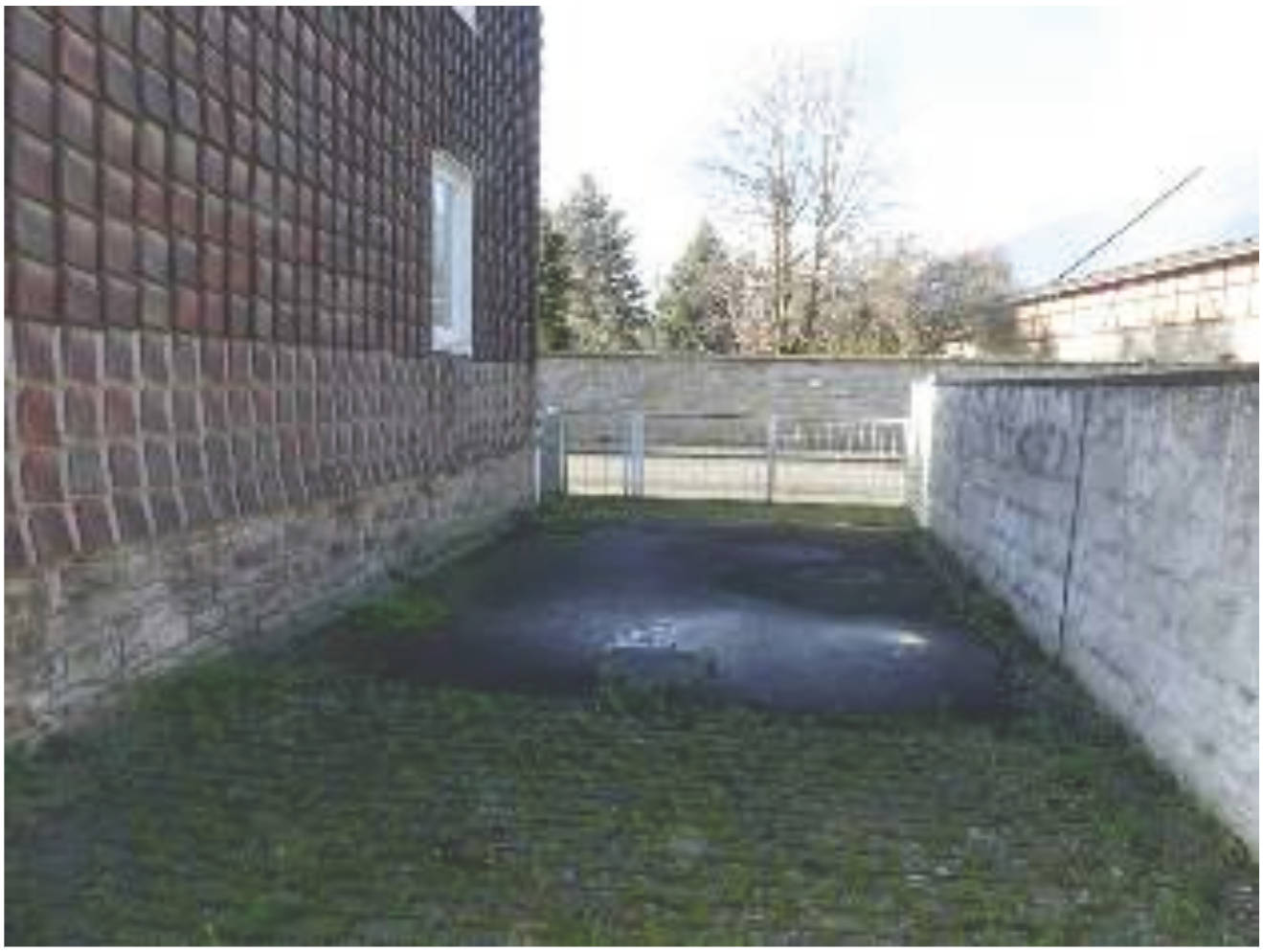 Einfamilienhaus, Zweifamilienhaus in Gartenstraße 19, 38387 Söllingen - Bild 4