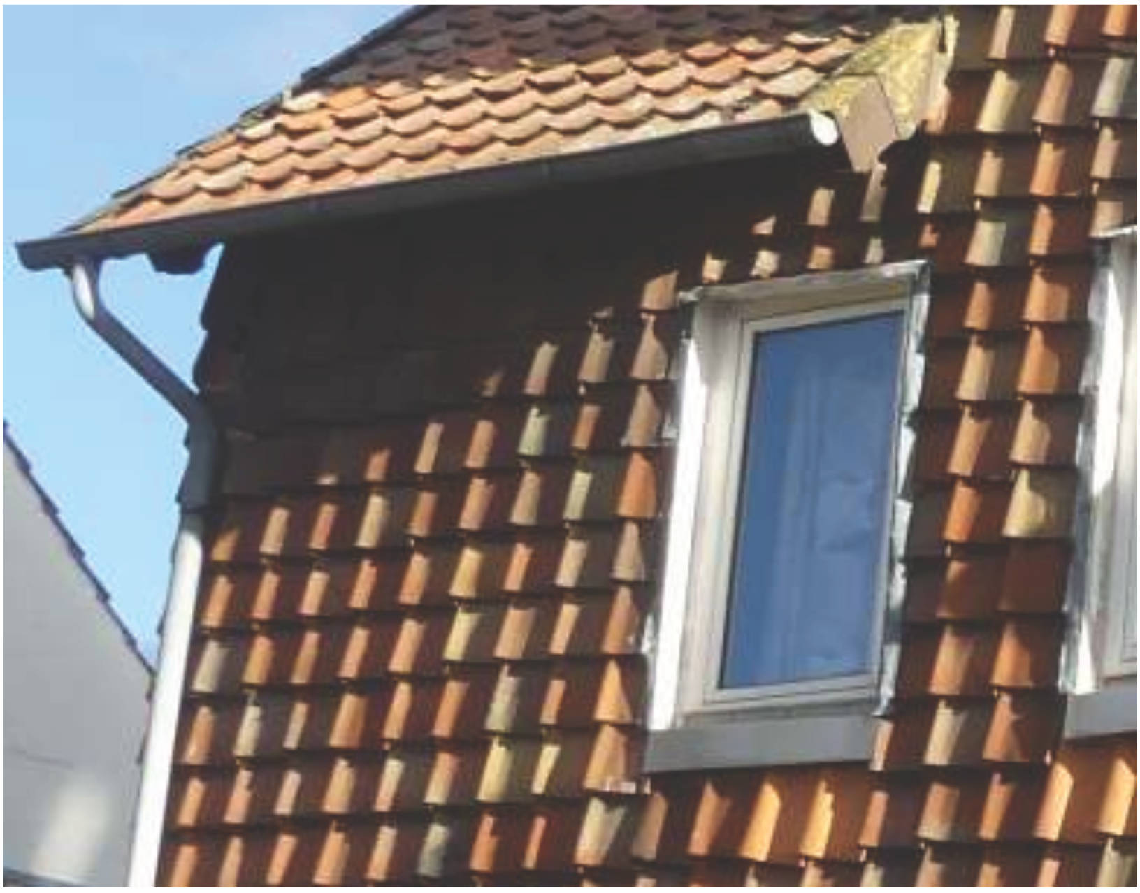 niedersachsen 0008K0023/2024 Gartenstraße 19, 38387 Söllingen 18