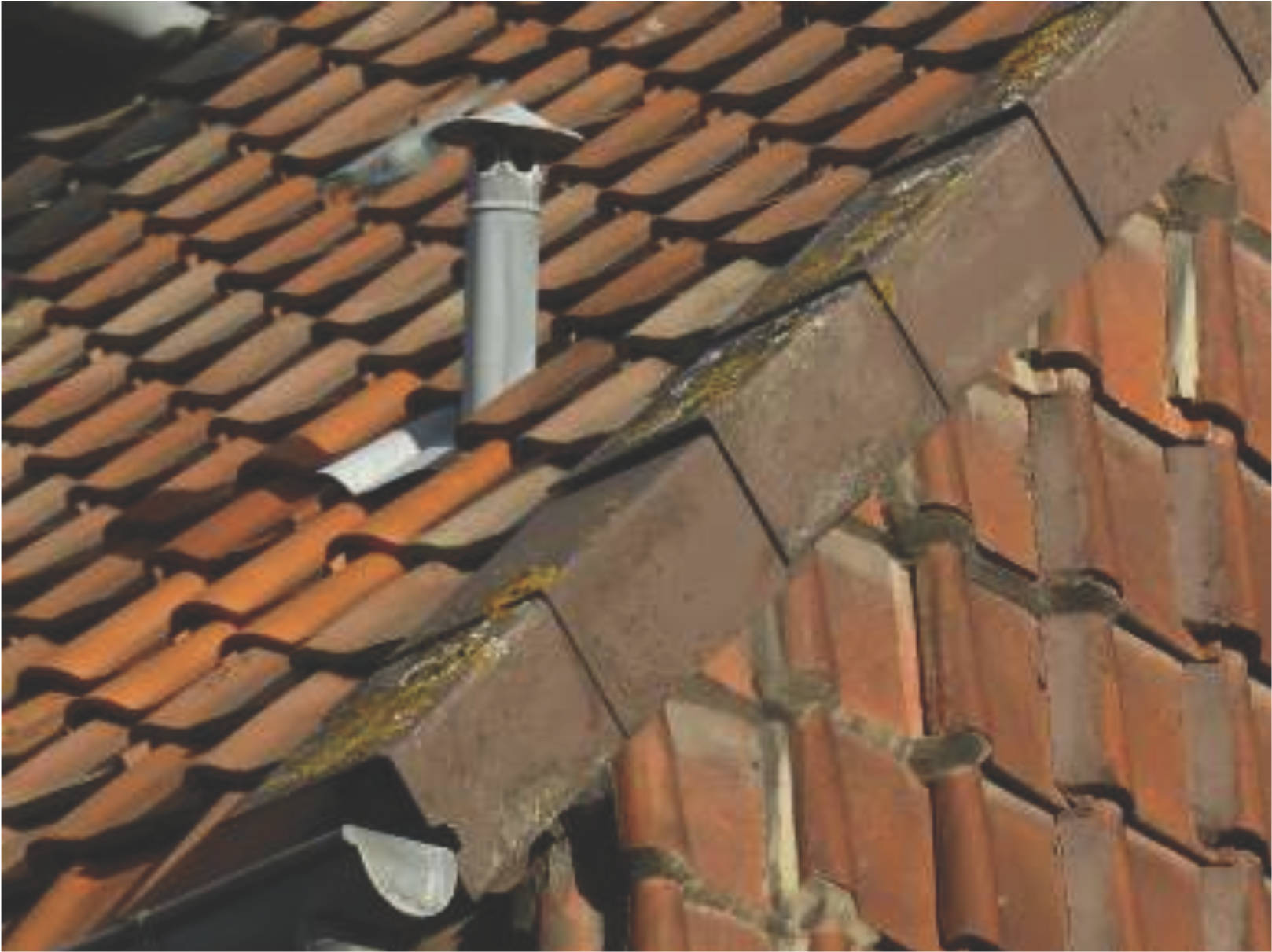 niedersachsen 0008K0023/2024 Gartenstraße 19, 38387 Söllingen 26