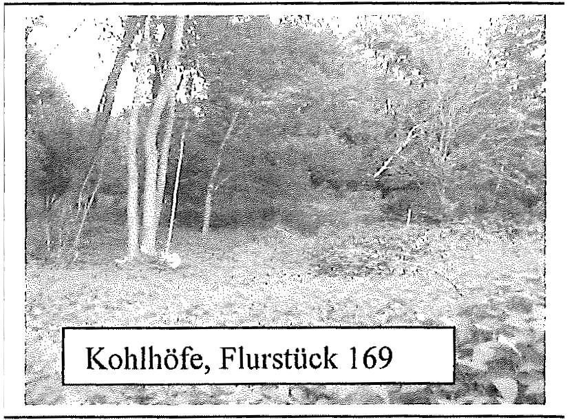land- und forstwirtschaftlich genutztes Grundstück in Hahnenberg, Aueteilsmoor, Kohlhöfe, 27628 Hagen im Bremischen, Bramstedt
