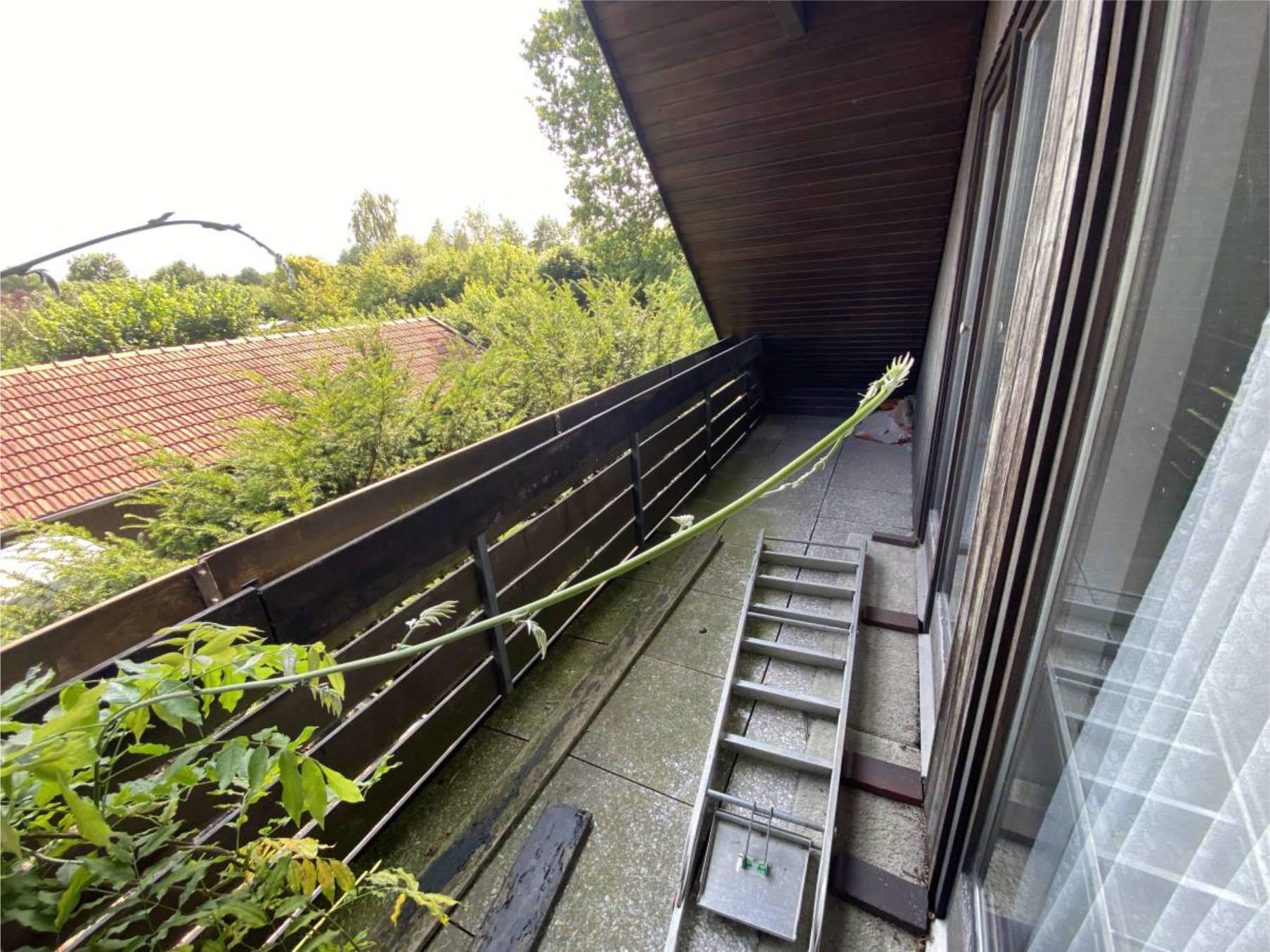 niedersachsen 0009 K 0002/2024 Neuer Weg 97, 26639 Wiesmoor 22