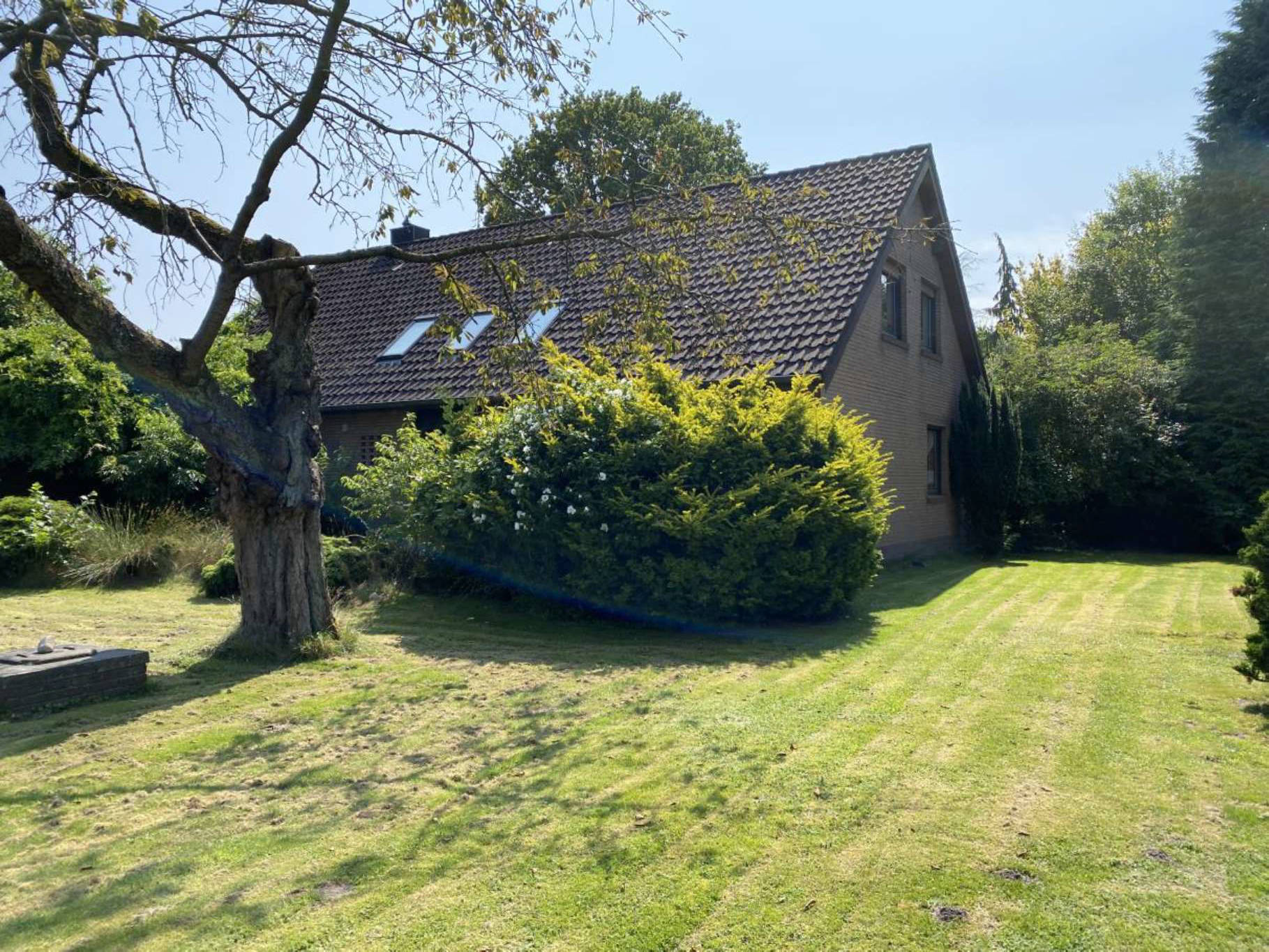 Bebautes Grundstück und landwirtschaftliche Fläche. Grundstück ist mit einem Einfamilienhaus (Baujahr ca. 1976) bebaut; restliche Flächen des Grundstückes (ca. 10.700 qm) werden als Grünland genutzt. in Neuer Weg 97, 26639 Wiesmoor - Bild 2