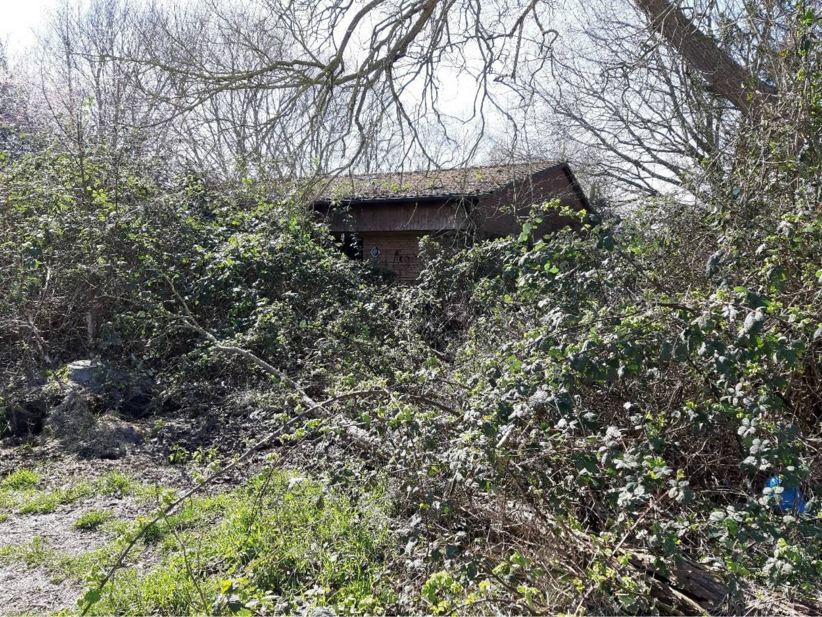 Einfamilienhaus in Ubbo-Emmius-Str. 12, 26736 Krummhörn, Pewsum - Bild 2