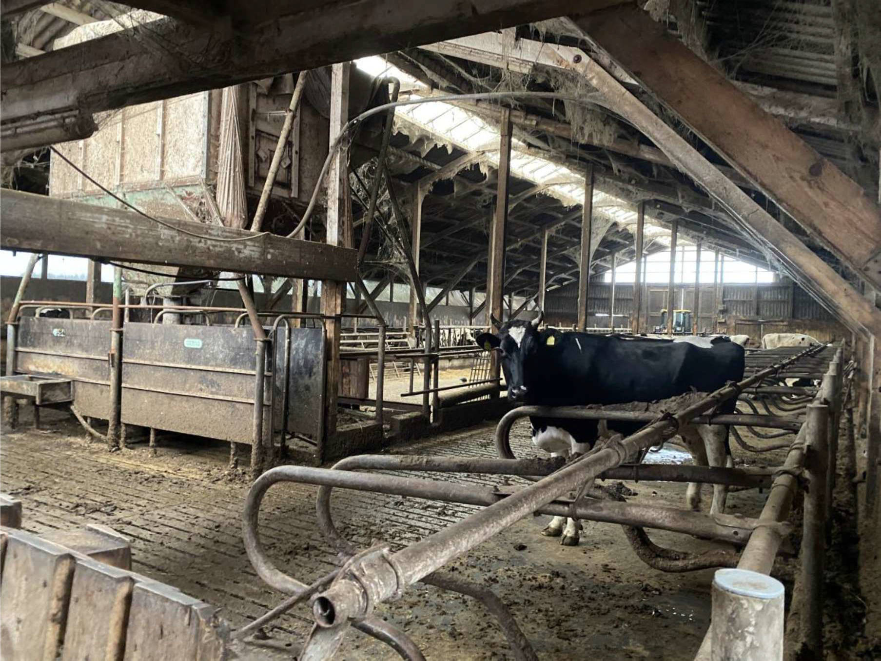 niedersachsen 0009 K 0002/2025 Dornuner Str. 27,29, 26607 Aurich, Tannenhausen 7