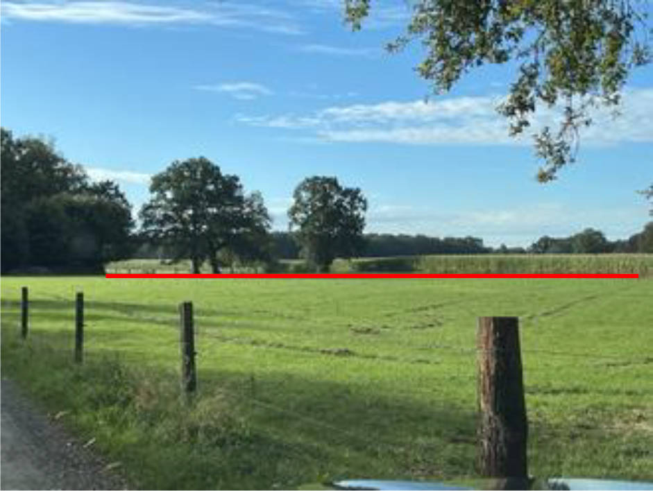 land- und forstwirtschaftlich genutztes Grundstück in Dannhagen 37, 49635 Badbergen, Grönloh - Bild 3